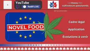 10e live youtube association france cannabis novel food