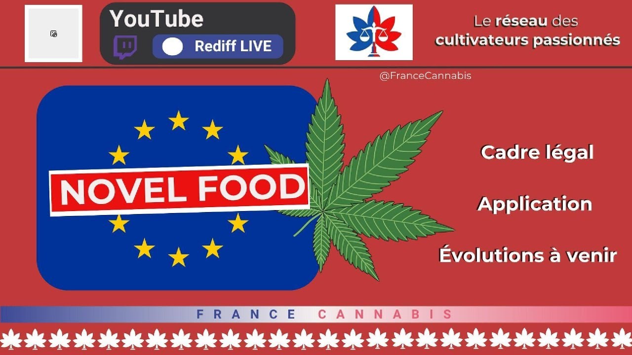 10e live youtube association france cannabis novel food