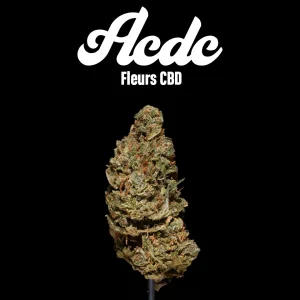 Acdc ACDC CBD – Fleurs CBD