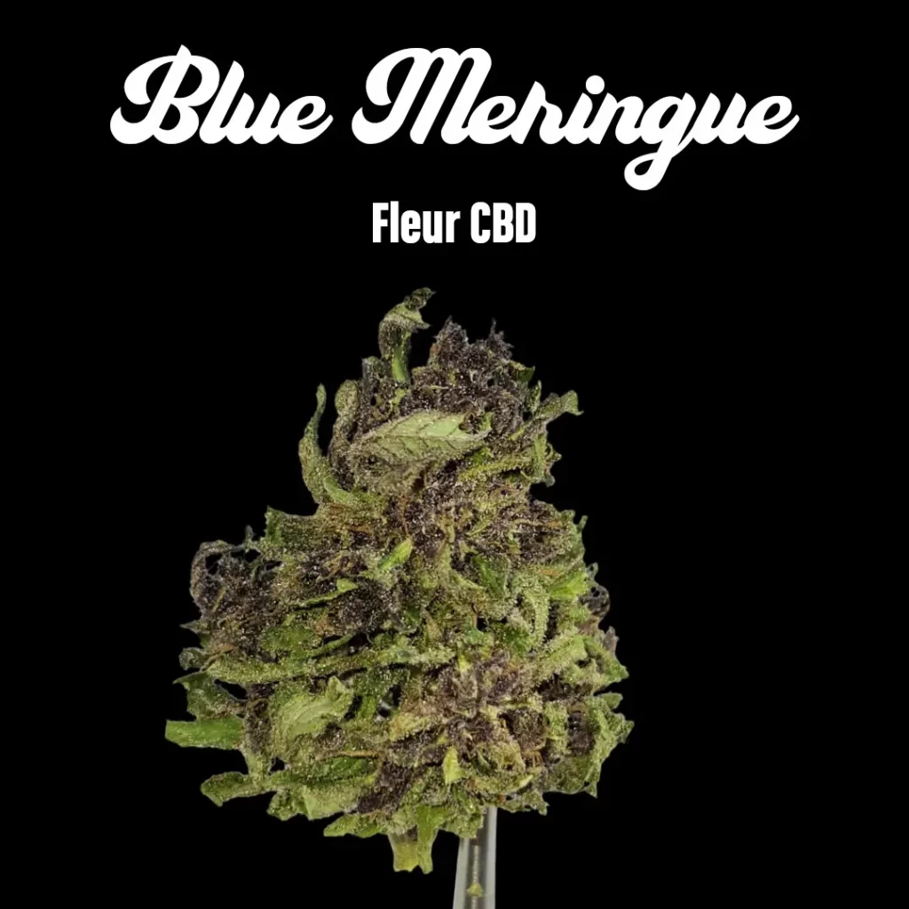 Blue Meringue - Fleurs CBD