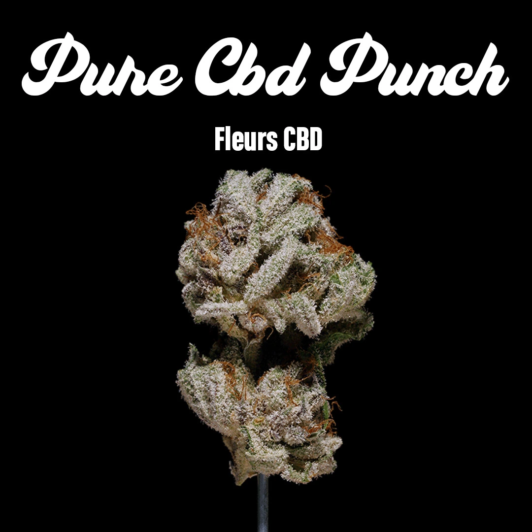 Pure CBD Punch – Fleurs CBD