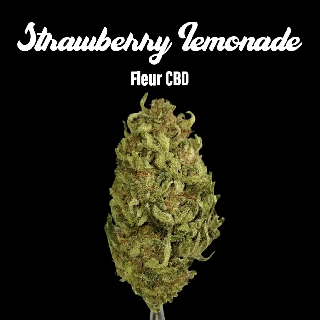 Strawberry Lemonade Kush - Fleurs CBD