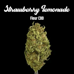Strawberry-lemonade Strawberry Lemonade Kush - Fleurs CBD