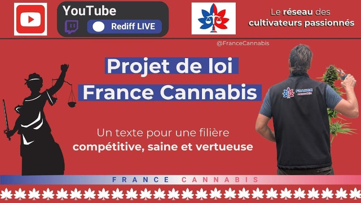 live youtube association france cannabis 05092025