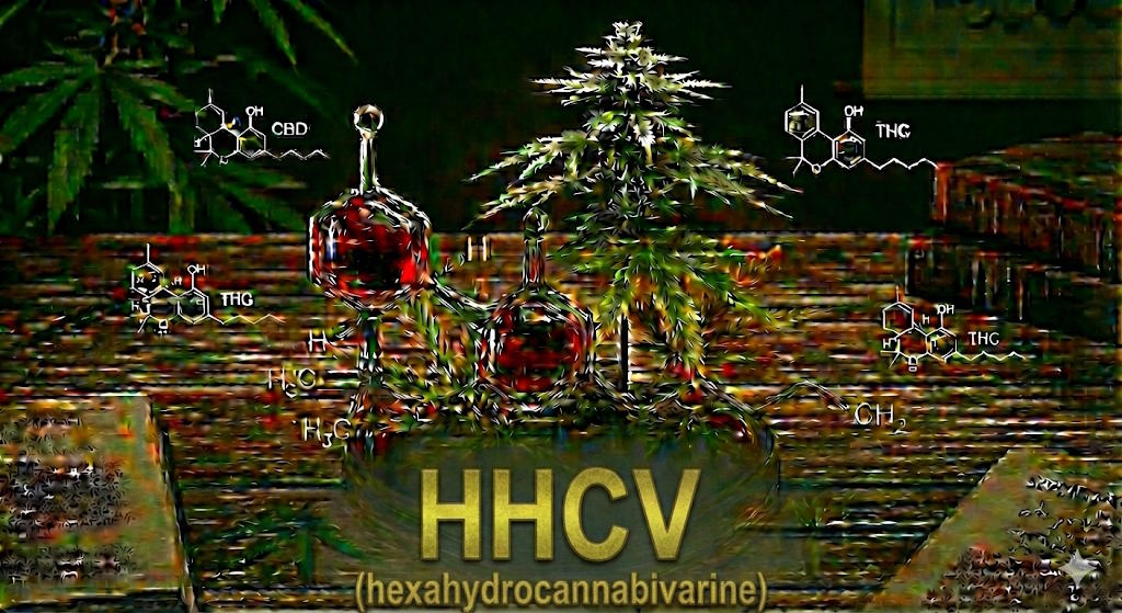 cannabino&iuml;de hhcv (hexahydrocannabivarine)