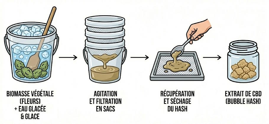 extraction cbd &agrave; l&rsquo;eau glac&eacute;e (bubble hash ou ice water hash)