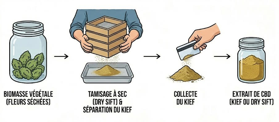 extraction cbd tamisage &agrave; sec (dry shift ou kief)