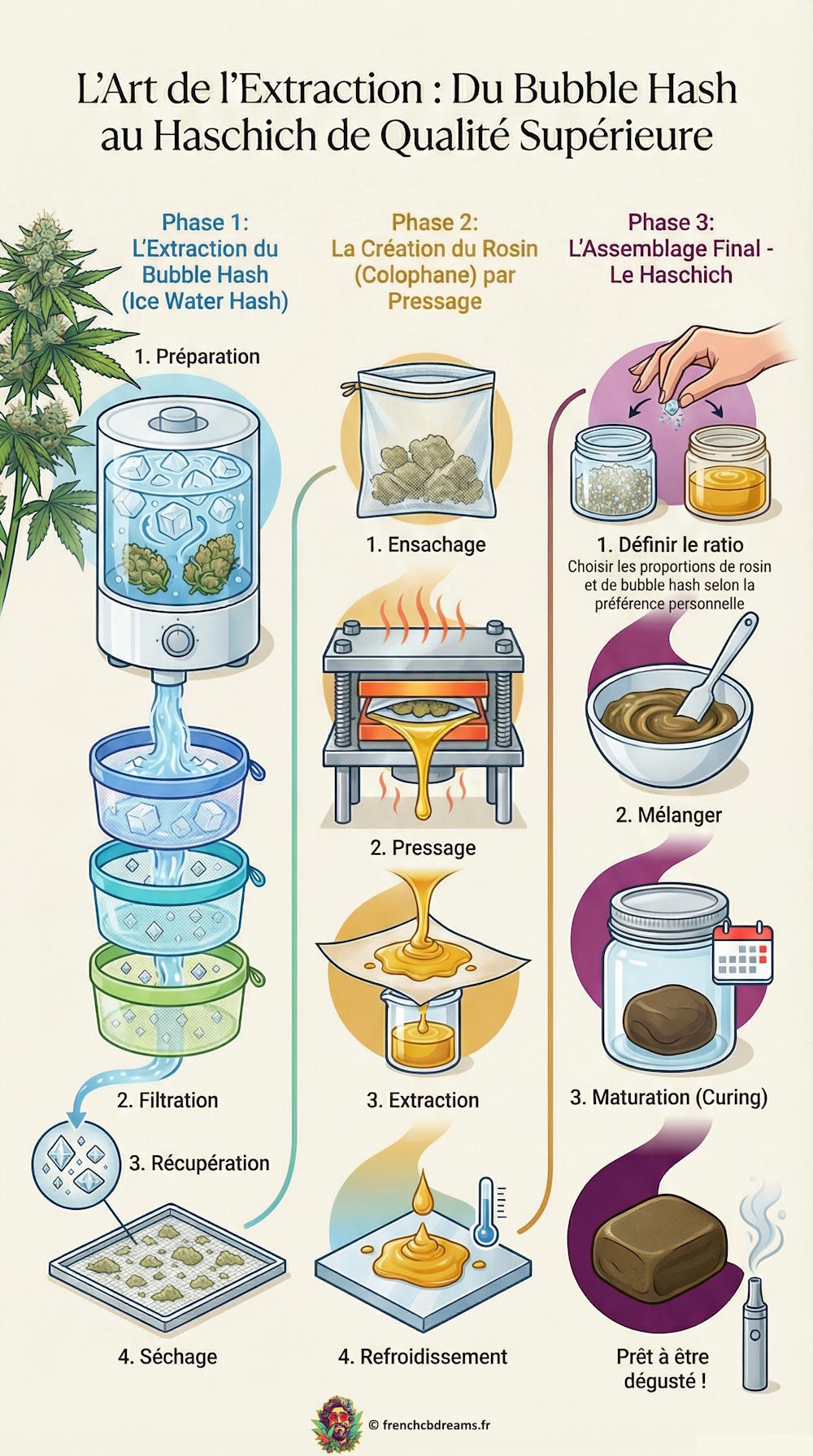 Proc&eacute;d&eacute; d'extraction sans solvant du bubble hash au haschich