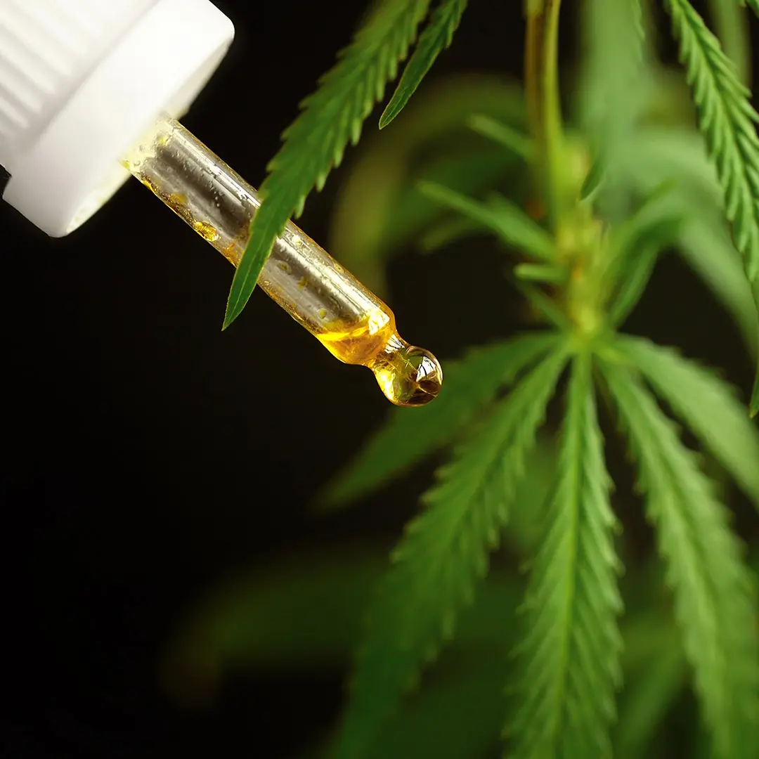 img categorie huile 1