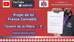 Projet de loi France Cannabis : questions-réponses