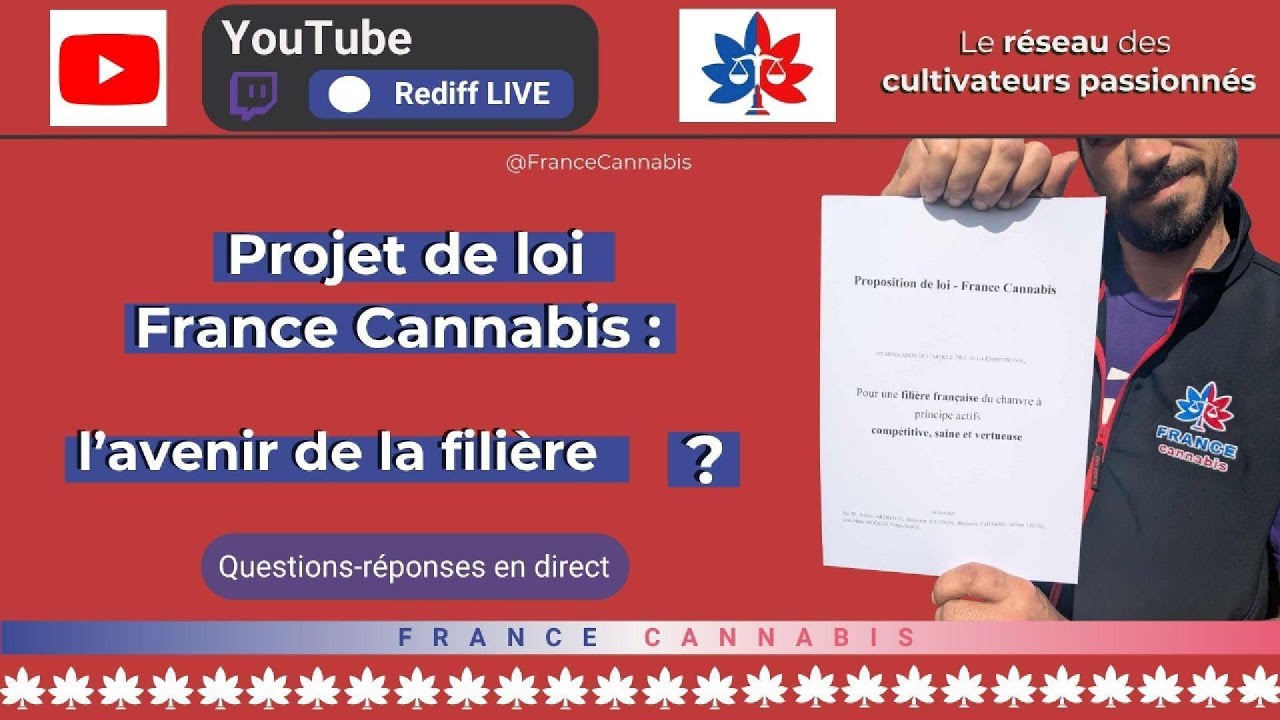projet de loi france cannabis, questions r&eacute;ponses 10&egrave;me live france cannabis 2025