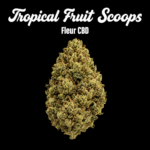 tropical fruit scoops – fleur cbd | high alpine genetics